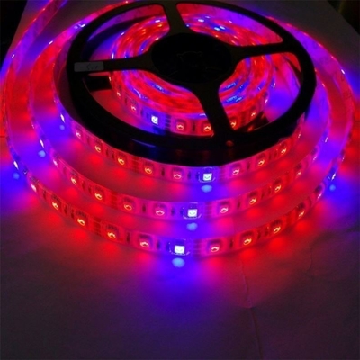 種子 スタートランプ ボディ 材料 PC LED 成長ライト 5050 DC 12v/24v ストライプ