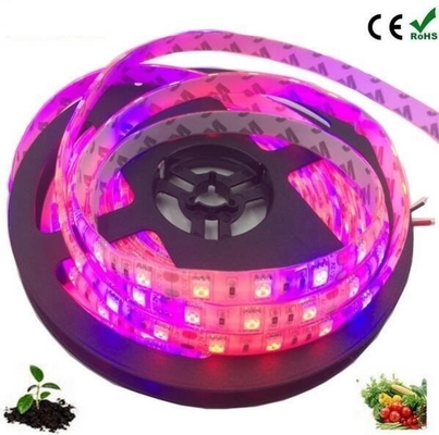 種子 スタートランプ ボディ 材料 PC LED 成長ライト 5050 DC 12v/24v ストライプ